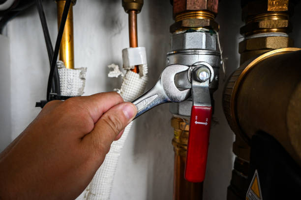 Best Commercial Plumbing Services  in Clayton, IN